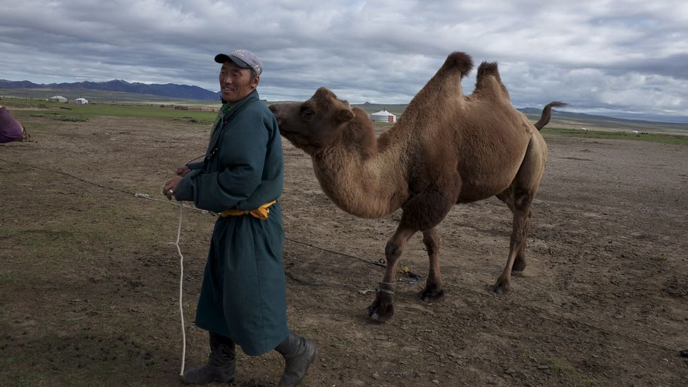 Nomadic trails in the land of the blue sky - BBC Travel