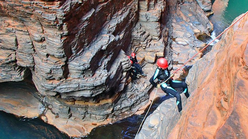 The wild side of Western Australia BBC Travel