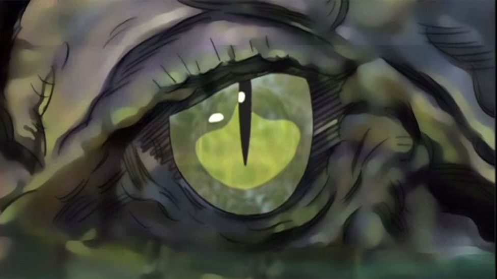 Dangers in the Outback BBC Travel