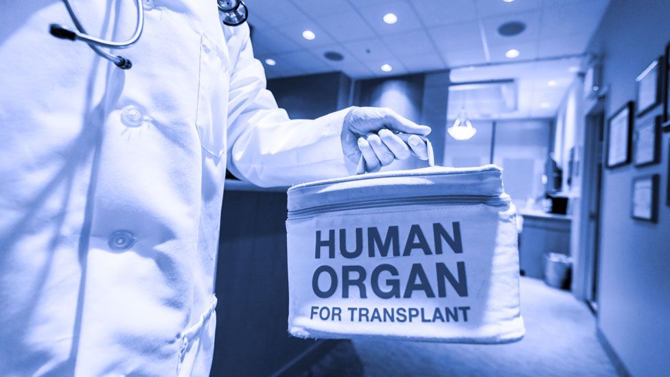 Will we ever cryopreserve our organs, and why is it so hard to do? (Thinkstock)
