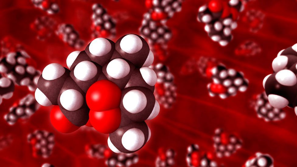 How malaria defeats our drugs BBC Future