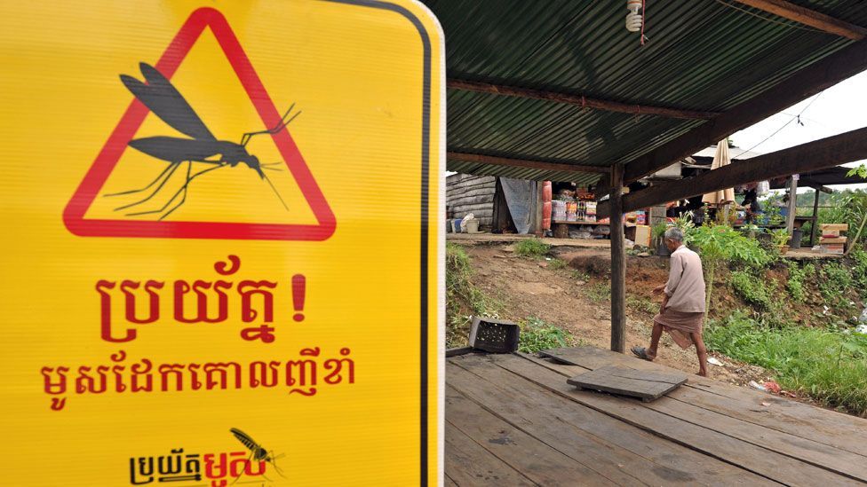 How malaria defeats our drugs BBC Future