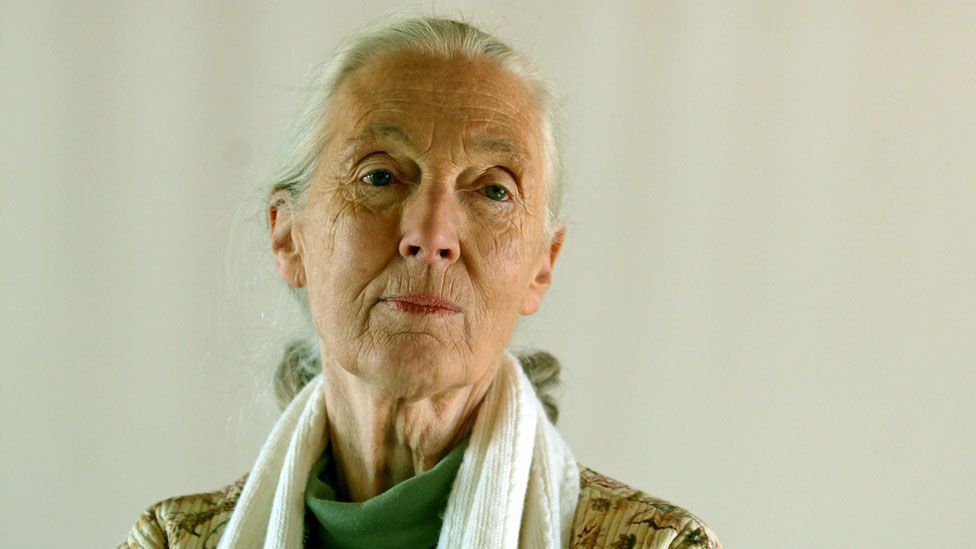 Jane Goodall (Getty Images)
