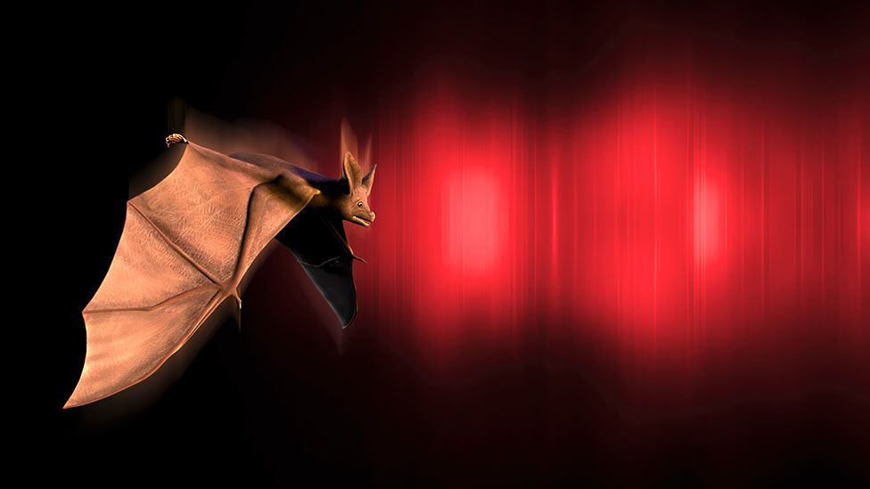 Bats navigate by echolocation; some blind people can too, by clicking their mouth and listening to the echo (SPL) Bats navigate by echolocation; some blind people can too, by clicking their mouth and listening to the echo (SPL)