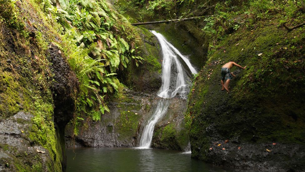 Wigmore's Waterfall Rarotonga Cook Islands