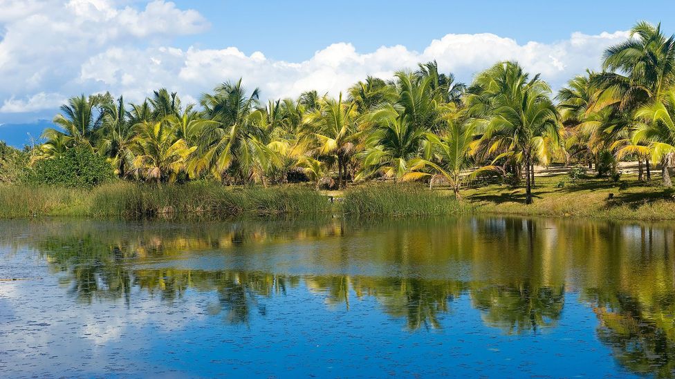 Seven of the world’s riskiest roads BBC Travel