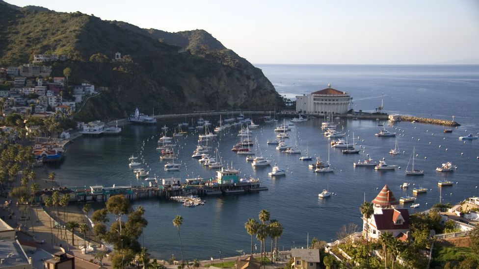 Catalina Island lies 35km off the Californian coast and was once used as a location for Hollywood films (Science Photo Library) Catalina Island lies 35km off the Californian coast and was once used as a location for Hollywood films (Science Photo Library)