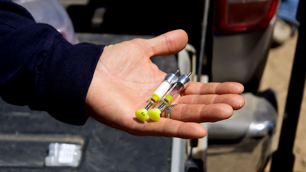 The darts are filled with a vaccine which acts as a contraceptive, allowing the herd’s size to be controlled (Jason Goldman) The darts are filled with a vaccine which acts as a contraceptive, allowing the herd’s size to be controlled (Jason Goldman)