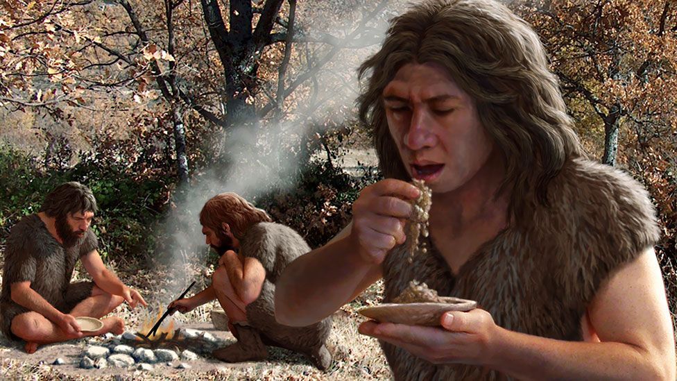 Paleolithic Age Food   P0213lsx 