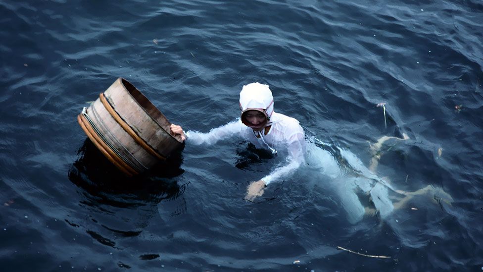 Pearl diving has been a feature of Japanese life for centuries. The 'ama' still do not use air tanks or scuba gear. (Science Photo Library)