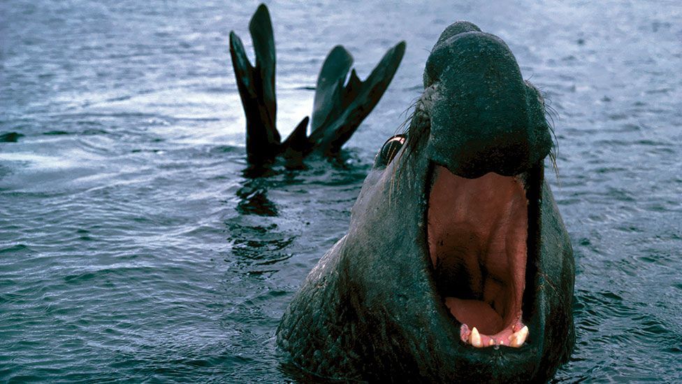 Some southern elephant seals can stay underwater for over two hours in search of fish or squid to eat. (Science Photo Library)