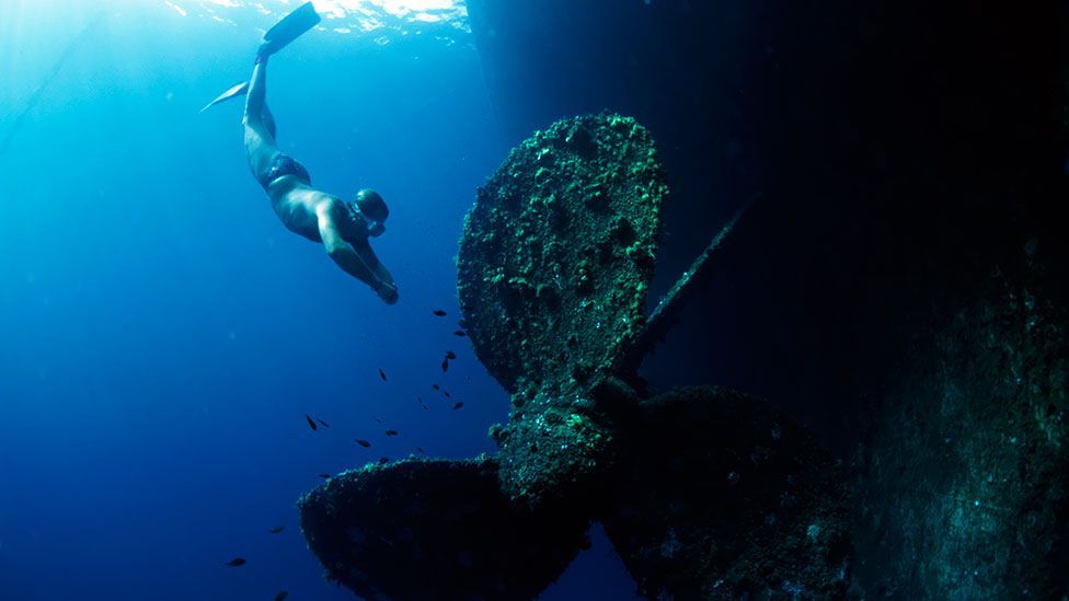 A diver approaches the wreck of a sunken ship. Freediving has been used in underwater salvage for thousands of years. (Science Photo Library)