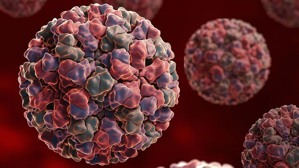What blood type you have influences the risk that you will be infected by a particular strain of norovirus (Science Photo Library) What blood type you have influences the risk that you will be infected by a particular strain of norovirus (Science Photo Library)