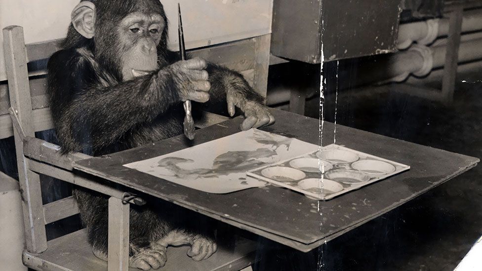 Congo the chimpanzee at London Zoo in 1957 (Daily Mail /REX)