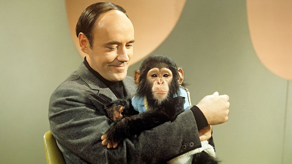 Desmond Morris and Congo (BBC)