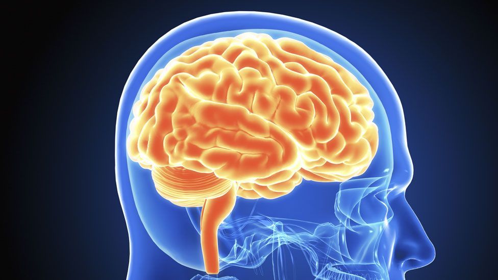 The brain is complex, so enhancing one talent with drugs may hamper others (Thinkstock)