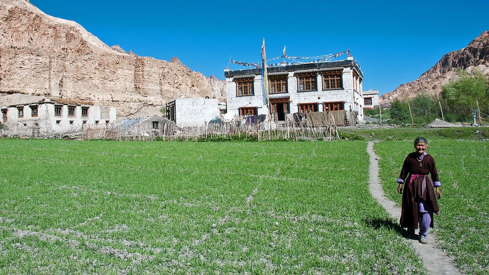 Ladakh, India, Himalayas Ladakh, India, Himalayas
