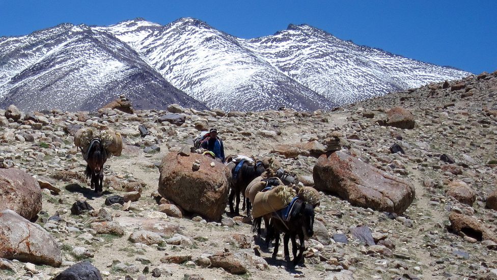 Ladakh, Himalayas, India Ladakh, Himalayas, India