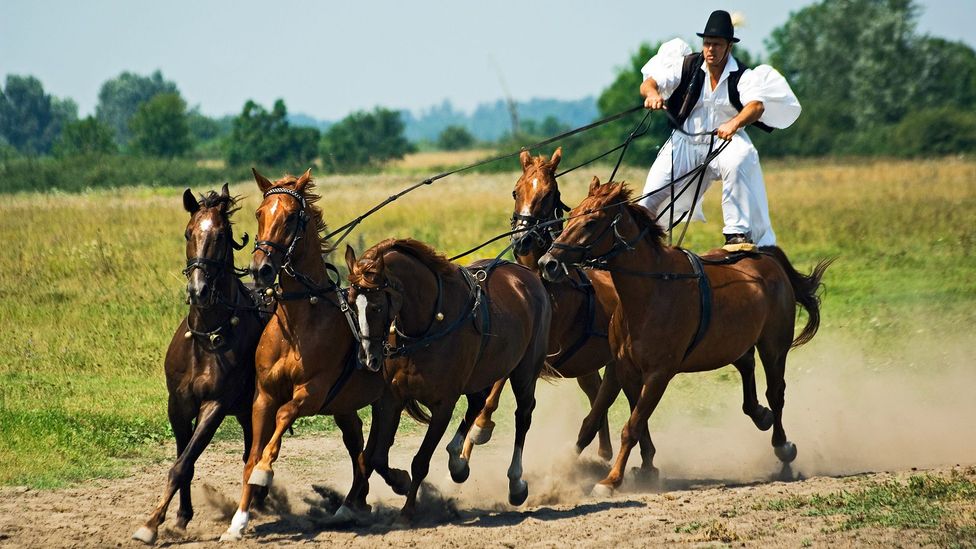 Hortobágy National Park, Hungary, Great Hungarian Plain Hortobágy National Park, Hungary, Great Hungarian Plain