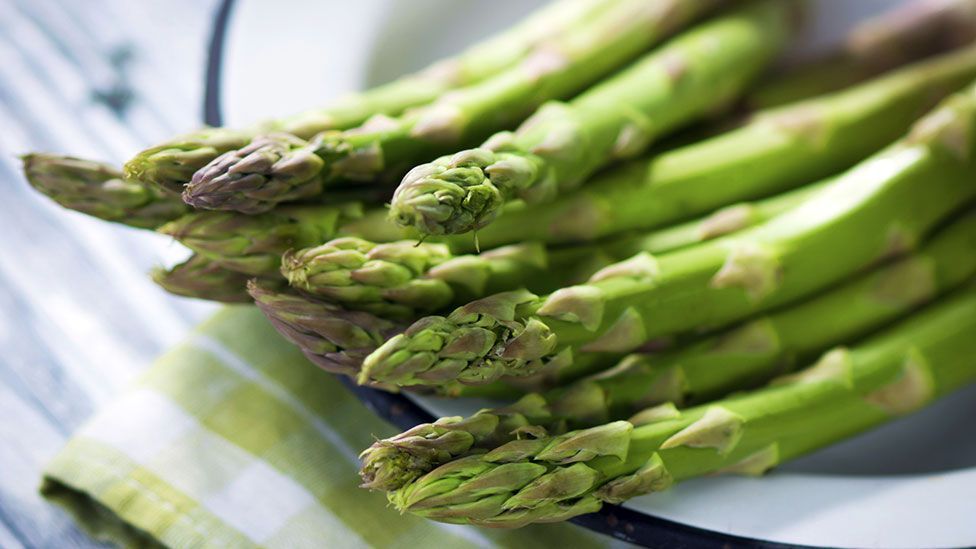 The sweet smell of excess - do we have to eat large quantities of asparagus before we can smell it in our urine? (Getty Images)