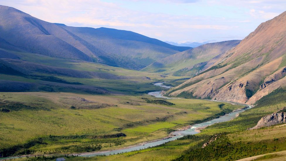 tundra river