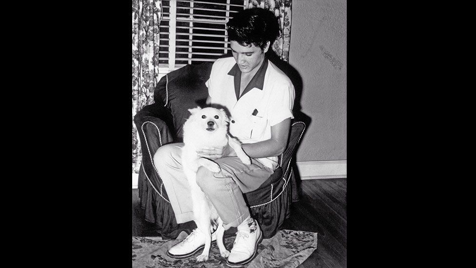 Elvis Presley Elvis Presley
