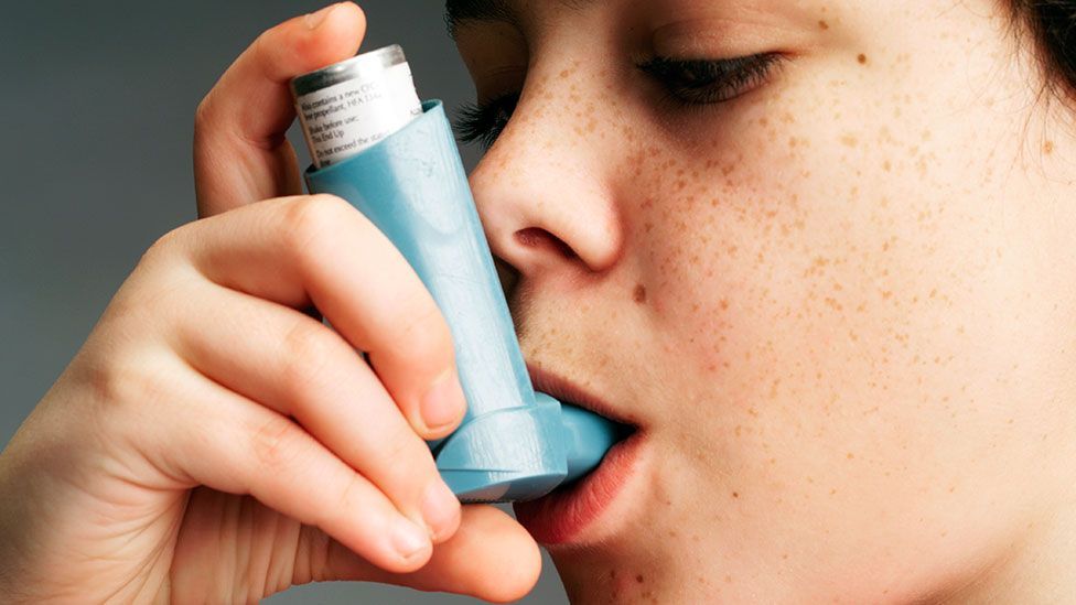 Are roaches causing higher rates of childhood asthma? (SPL)