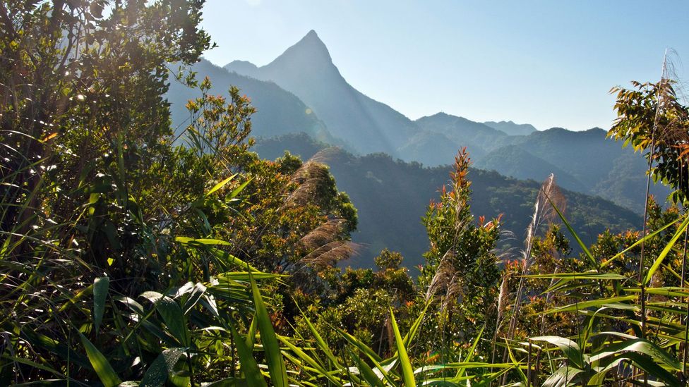 The hidden highlands of Hainan BBC Travel