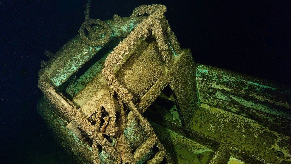 Sunken treasure. (Steve Fanell)