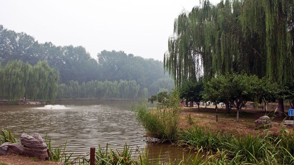 Beijings Extraordinary Grand Canal Bbc Travel 4331