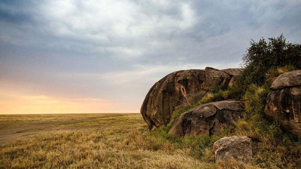 The Last Unexplored Side Of The Serengeti BBC Travel   P027p3b7 