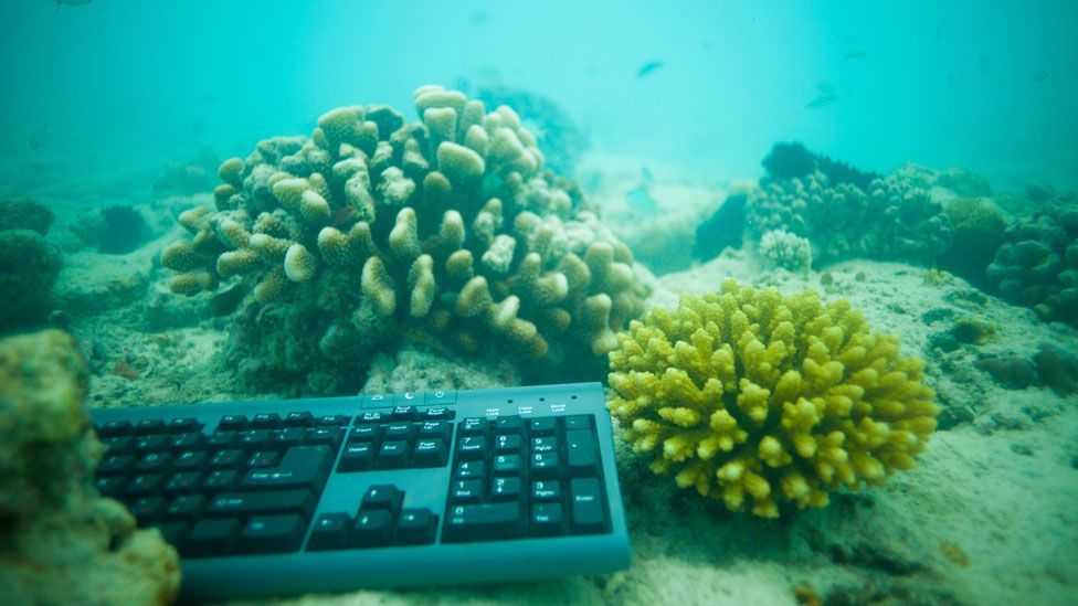 If we could all be transported to the bottom of the ocean, would it change how we feel about its conservation? (Thinkstock)