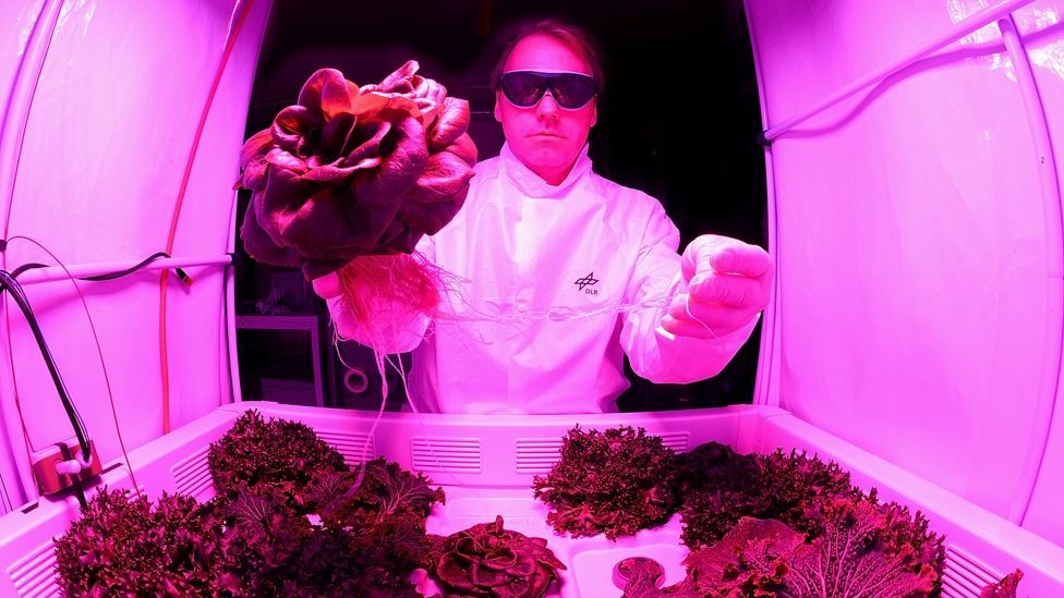 One of the big challenges will be growing food away from Earth (Getty Images)