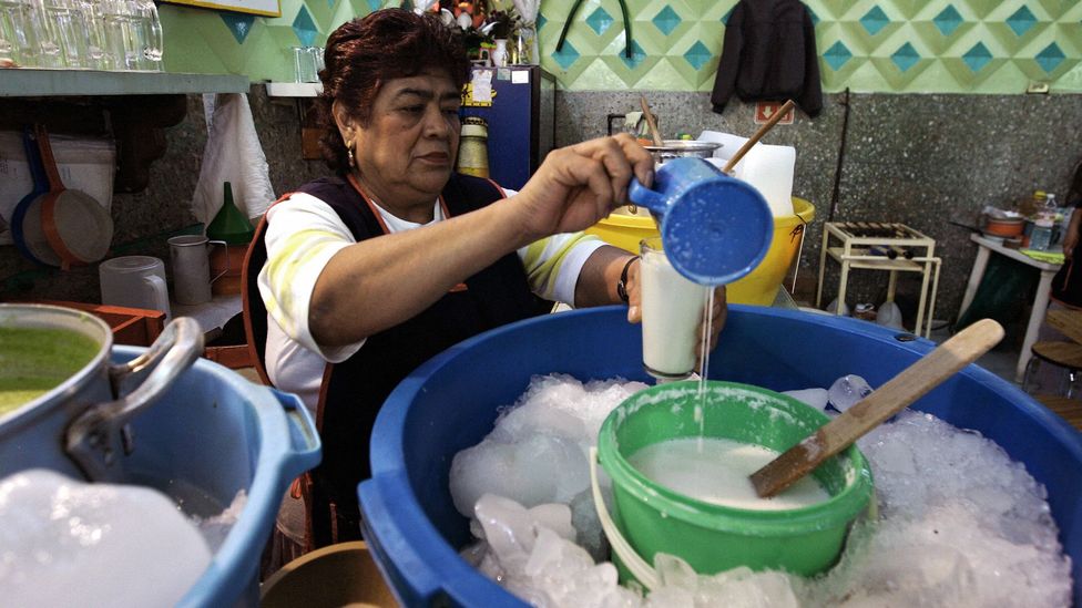 Coconut pulque on ice. (Ronaldo Schemidt/AFP/Getty)