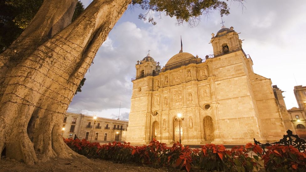 The cathedral on Oaxaca's zocalo. (Jose Peral/Getty)