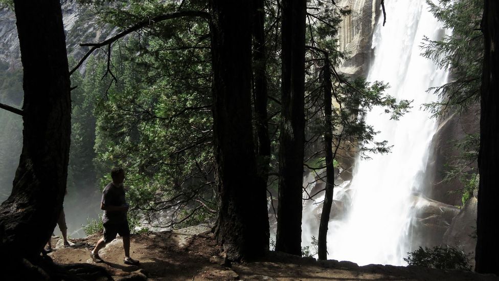 Trail running in Yosemite. (Sean Gallup/Getty) Trail running in Yosemite. (Sean Gallup/Getty)