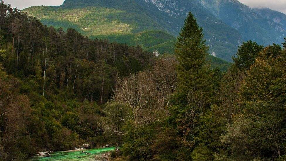 A view of aquamarine river rapids and dense emerald forests. (Kirsten Amor) A view of aquamarine river rapids and dense emerald forests. (Kirsten Amor)