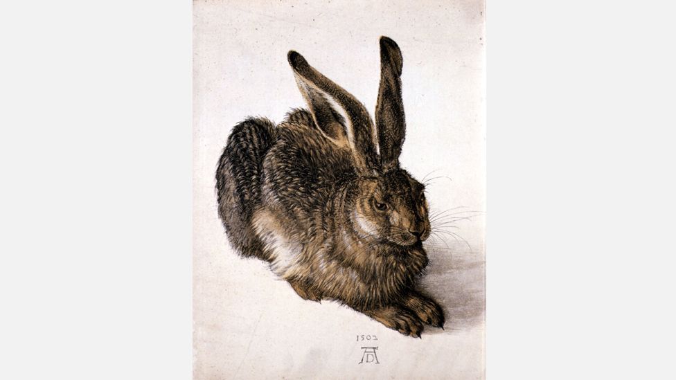 Albrecht Dürer, Young Hare, 1502 (Corbis)