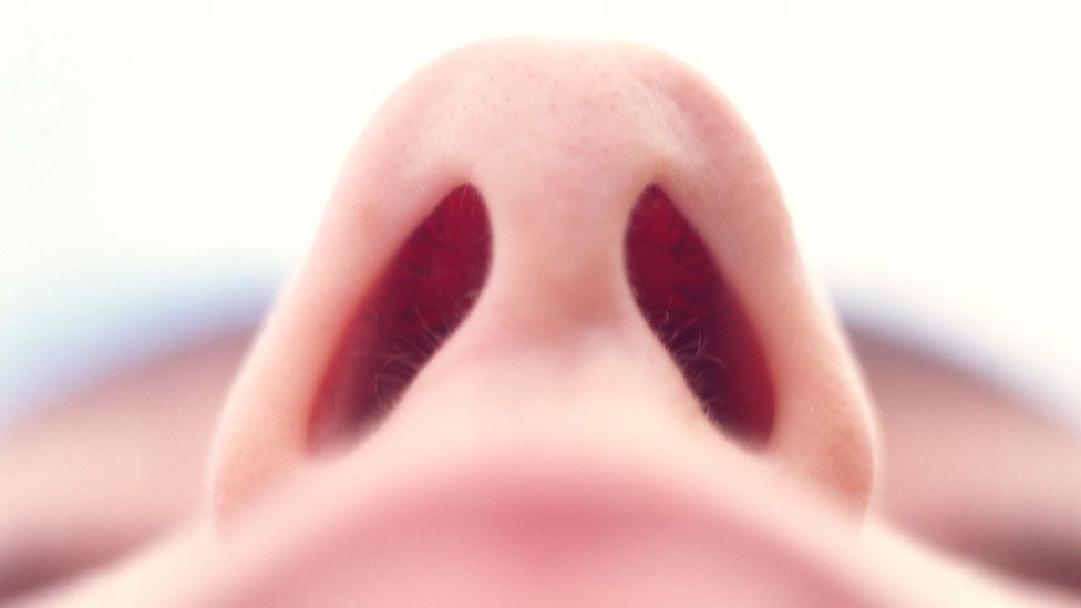 Why do we pick our nose? - BBC Future