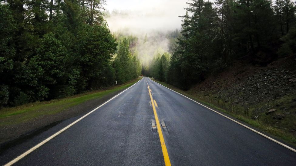 Fog lifts on the Bigfoot Scenic Byway. (Andy Murdock)