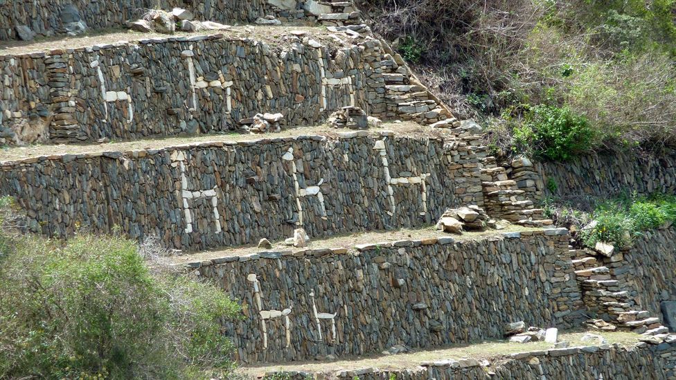 Each terrace was decorated with white rocks in the shape of a llama. (Cynthia Kane)