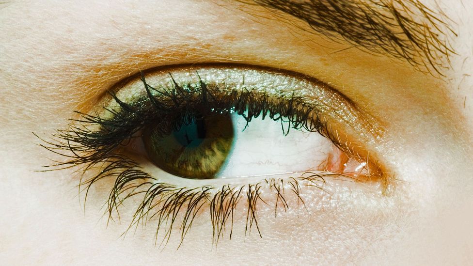 One of the best ways to build trust is to make a mistake — and then own up to it. (Alamy)