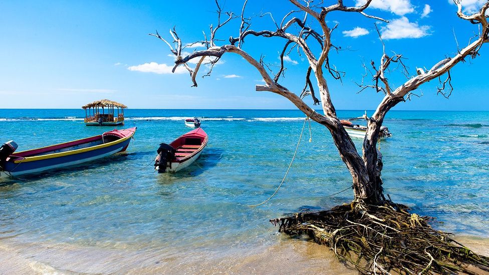 Escaping to Jamaica’s southwest BBC Travel