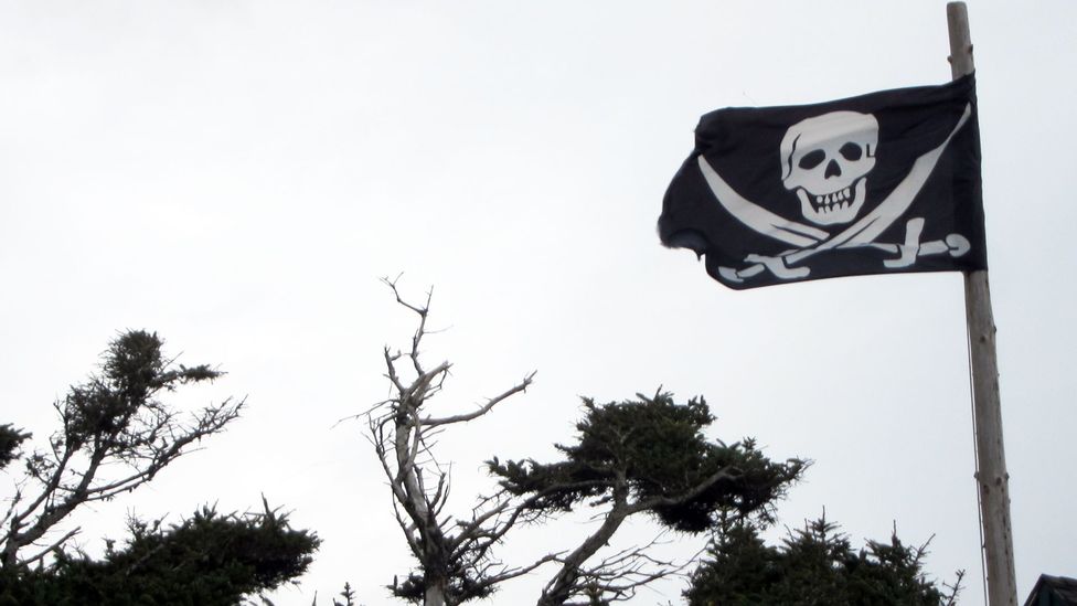 Flag flown by beachside resident in Cannon Beach. (Credit: David G Allan) Flag flown by beachside resident in Cannon Beach. (Credit: David G Allan)