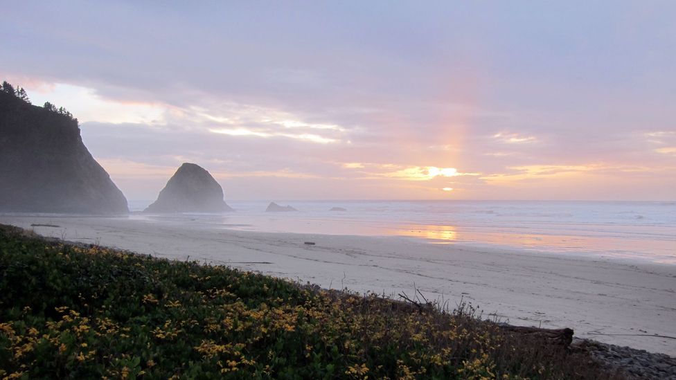 Sunset in Arch Cape, just south of Cannon Beach. (Credit: David G Allan) Sunset in Arch Cape, just south of Cannon Beach. (Credit: David G Allan)
