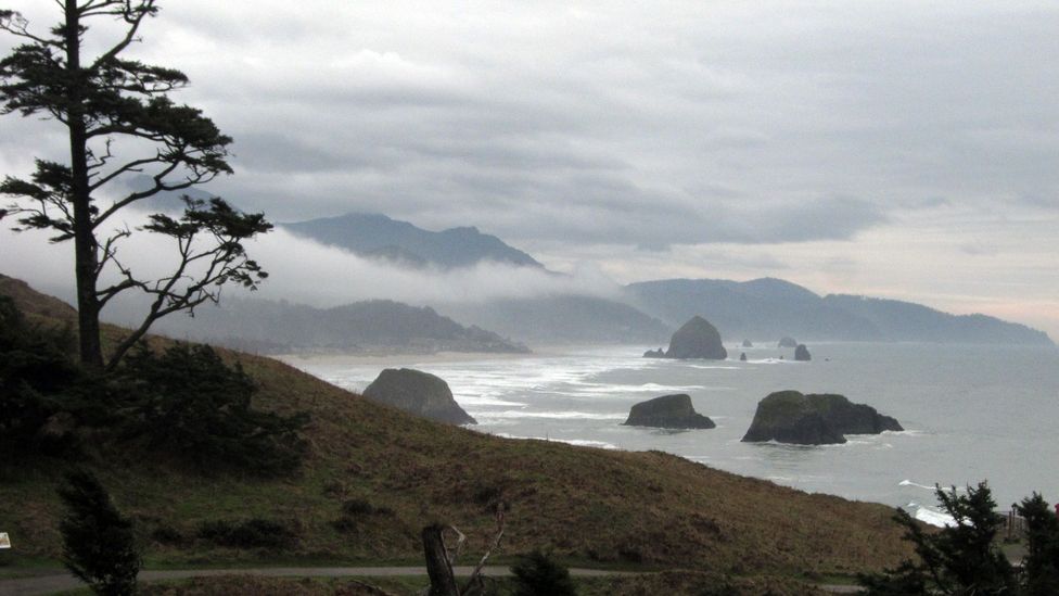 View of Cannon Beach from Ecola Point. (Credit: David G Allan) View of Cannon Beach from Ecola Point. (Credit: David G Allan)