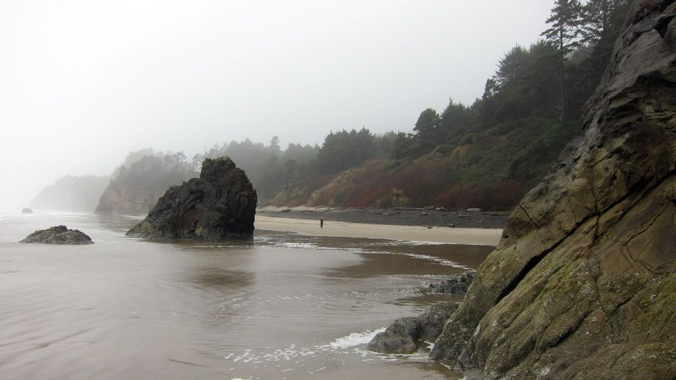 Rocky Hug Point. (Credit: David G Allan) Rocky Hug Point. (Credit: David G Allan)