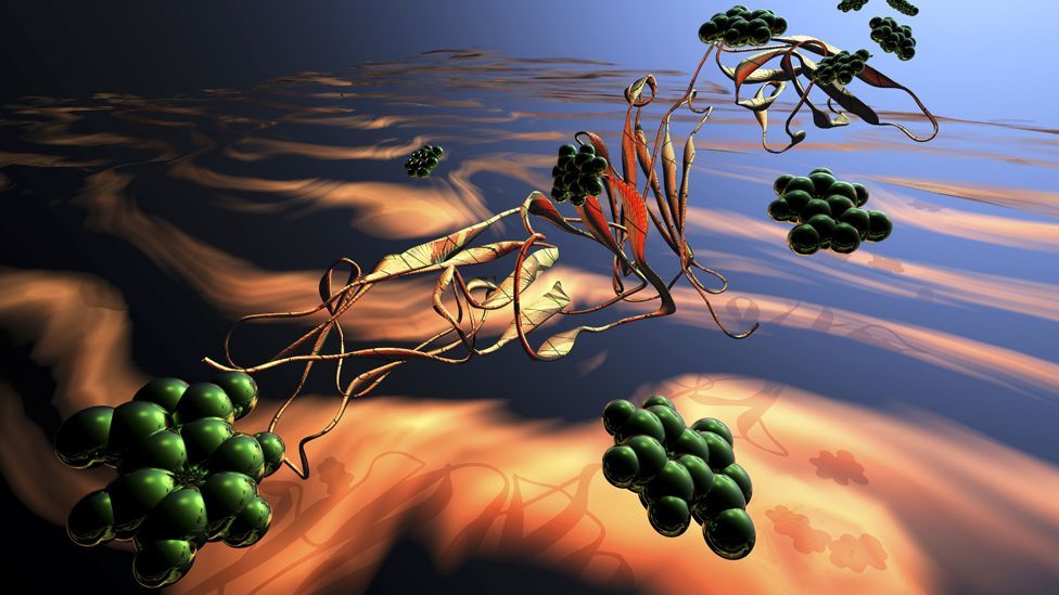 (Credit: Science Photo Library) (Credit: Science Photo Library)
