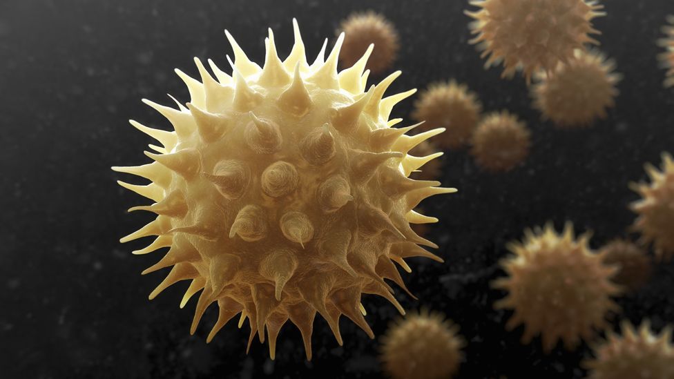 (Credit: Science Photo Library) (Credit: Science Photo Library)