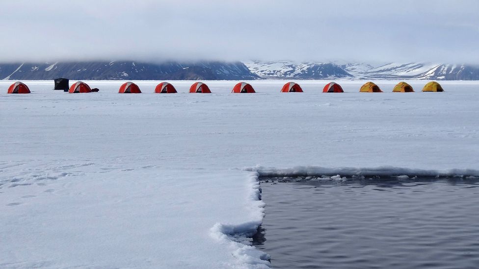 Canada, Arctic, floe edge, camping, polar bears, tents, ice, frozen, Polar Sea Adventures